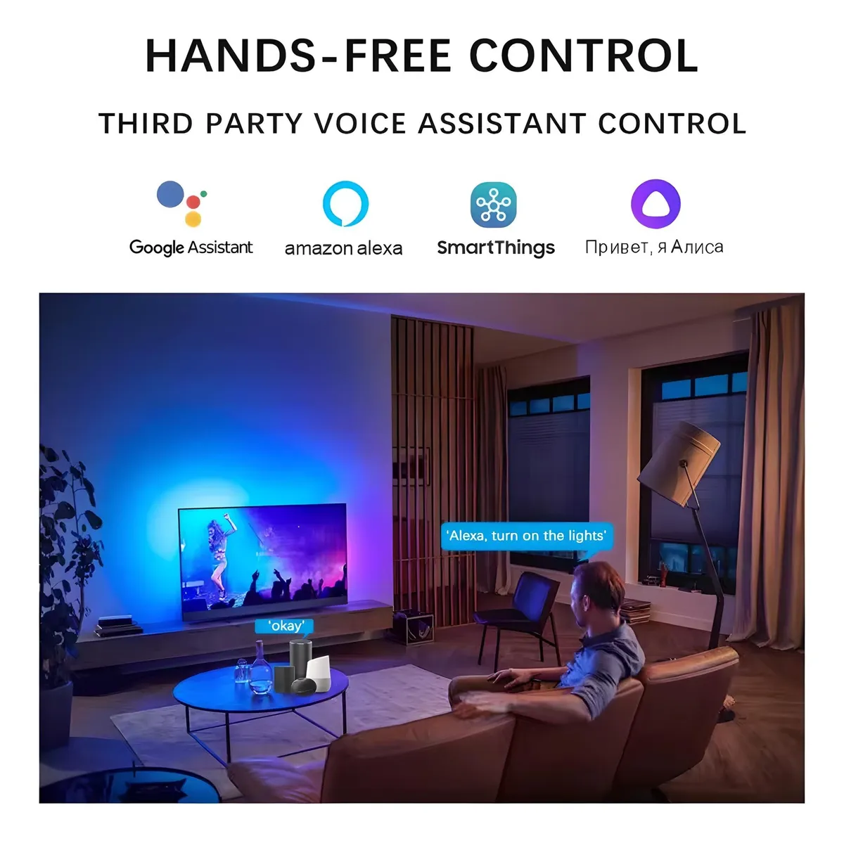 Controlador Led Pixel Wifi Colorful Modo Musical Tuya Smart Rgbic