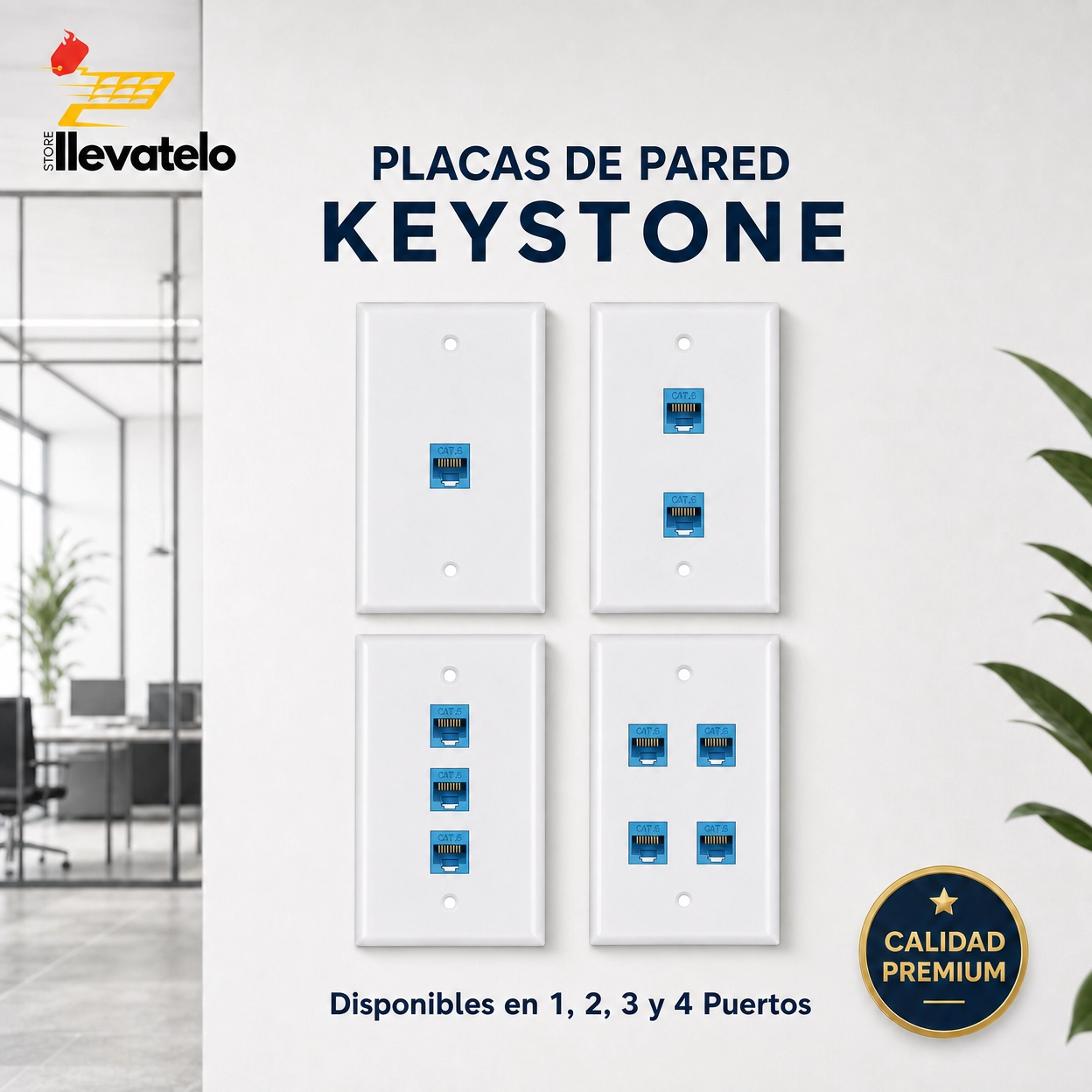 Placa Pared Ethernet Cople Keystone Cat 6 Azul
