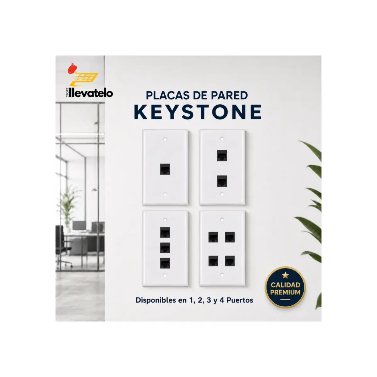 Placa Pared Ethernet Keystone Jack Negro Rj45 Cat 6 Utp