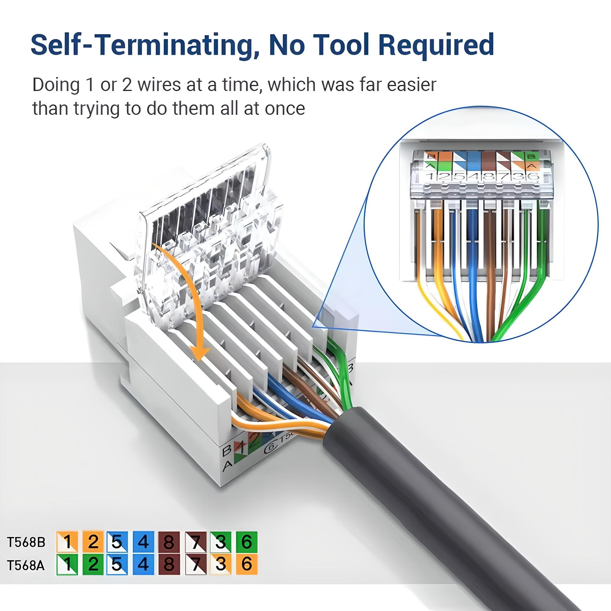 Placa Pared Rj45 Cat 6 Keystone Ethernet Ponchado
